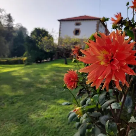 Vivienda Rural - La Cueva - Hornedo * Entrambasaguas (Entrambasaguas)