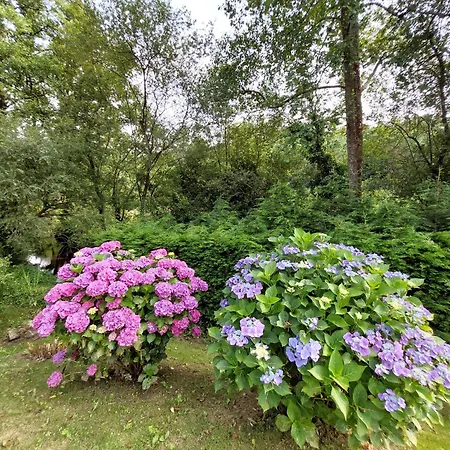 Casa de Campo Vivienda Rural - La Cueva - Hornedo *